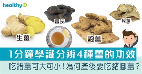 薑的功效與藥理作用|從大數據及經絡角度理解「生薑」的5種強大功效！